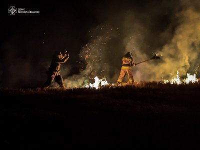 12 пожеж сухої трави за добу приборкали вогнеборці Миколаївщини